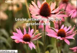 Sites similar to conflate.nl