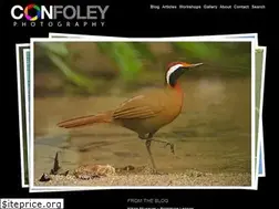 Sites similar to confoley.com