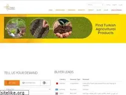 Sites similar to connectanatolia.com