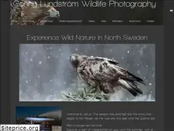 Sites similar to connylundstrom.com
