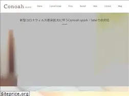 Sites similar to conoah.com