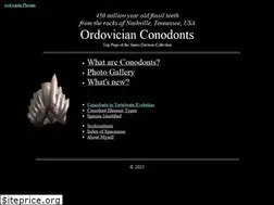 Sites similar to conodont.info