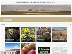 Sites similar to conophytum.com