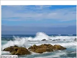 Sites similar to conservasbroto.com