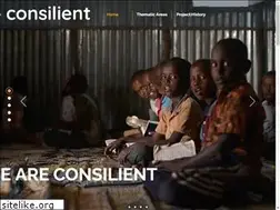 Sites similar to consilientresearch.org