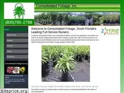 Sites similar to consolidatedfoliage.com