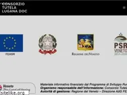 Sites similar to consorziolugana.it