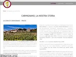 Sites similar to consorziovinicarmignano.it