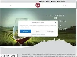 Sites similar to consorziovinonobile.it