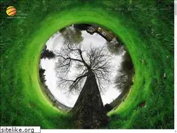 Sites similar to consult360d.com