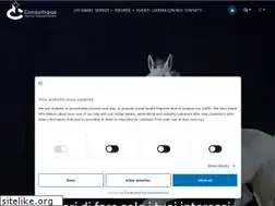 Sites similar to consultique.com