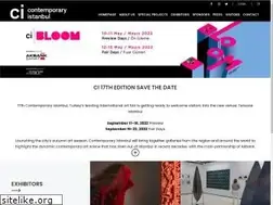Sites similar to contemporaryistanbul.com
