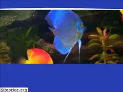 Sites similar to contentedfish.com