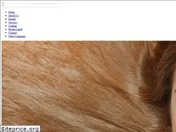 Sites similar to continentsfashiongroup.com