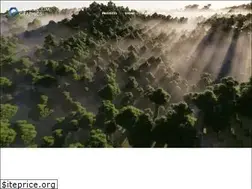 Sites similar to continuum.graphics