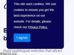 Sites similar to conveythis.com