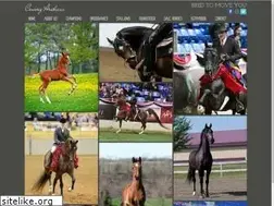 Sites similar to conwayarabians.com