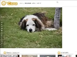 Sites similar to coo-animal.com
