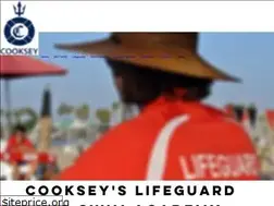 Sites similar to cookseyslifeguardcompany.com