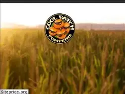Sites similar to coolpatchpumpkins.com