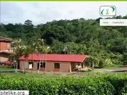 Sites similar to coopecanera.com