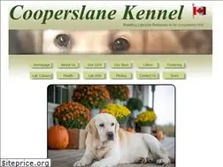 Sites similar to cooperslane.com