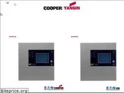 Sites similar to cooperyanginalarm.com