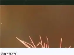 Sites similar to coorpol.com.br