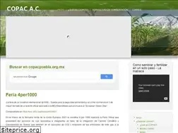 Sites similar to copacpuebla.org.mx