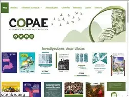 Sites similar to copaeguatemala.org