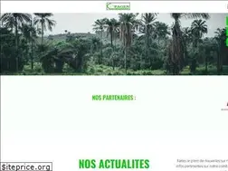 Sites similar to copagen.org