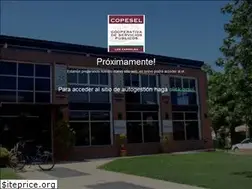 Sites similar to copesel.com.ar