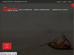 Sites similar to copestpros.com