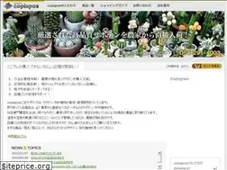 Sites similar to copiapoa.jp
