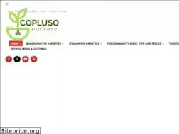 Sites similar to copluso.com