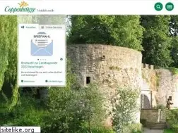 Sites similar to coppenbruegge.de