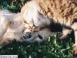 Sites similar to copperfieldanimalclinic.com