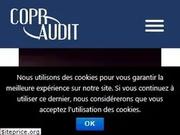 Sites similar to copraudit.com