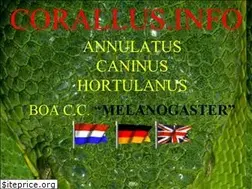 Sites similar to corallus.info