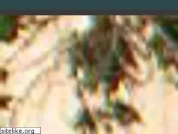 Sites similar to corasenior.com.br