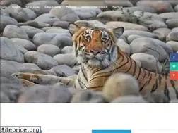 Sites similar to corbettsafaribooking.com