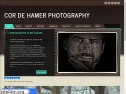 Sites similar to cordehamer.nl