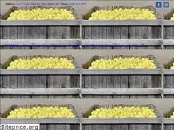 Sites similar to coreylakeorchards.com
