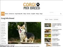 Sites similar to corgimixbreed.com