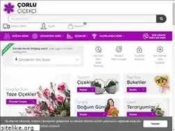 Sites similar to corlucicekci.com