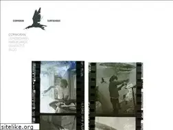 Sites similar to cormoransurfboards.com