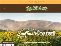 Sites similar to cornbellys.com