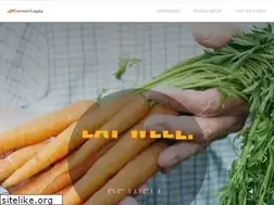 Sites similar to corner-copia.com