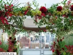 Sites similar to cornucopiaflowers.com
