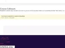Sites similar to corpuscallosum.cc